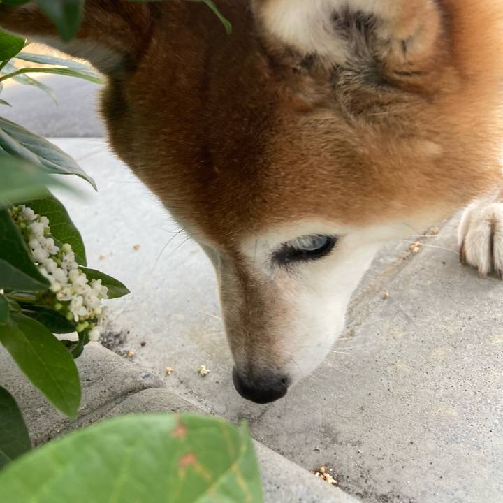 Bbf8e49b 1fa3 42f7 b03c 339373a8ba7a 1720005261920