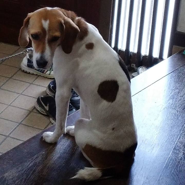 Bbf91709 9fe4 4e00 b98a c642beb7b2a6 1577936177533