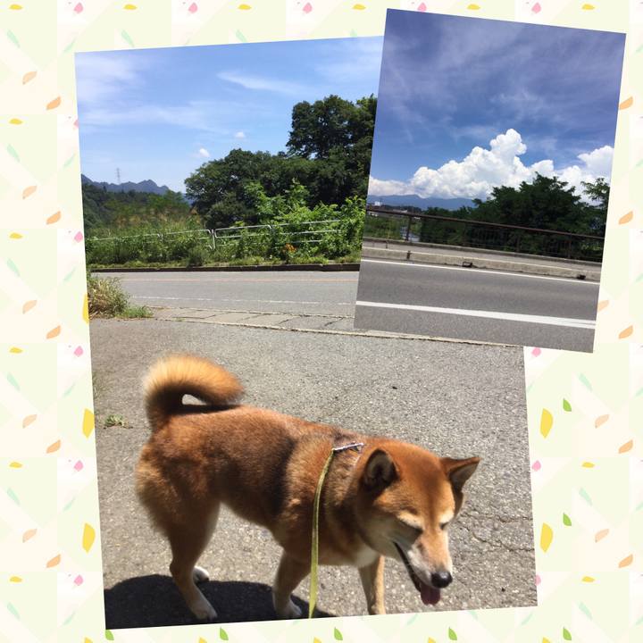 Bbf92233 00c4 445d afac 9889e3fe372d 1565164482364