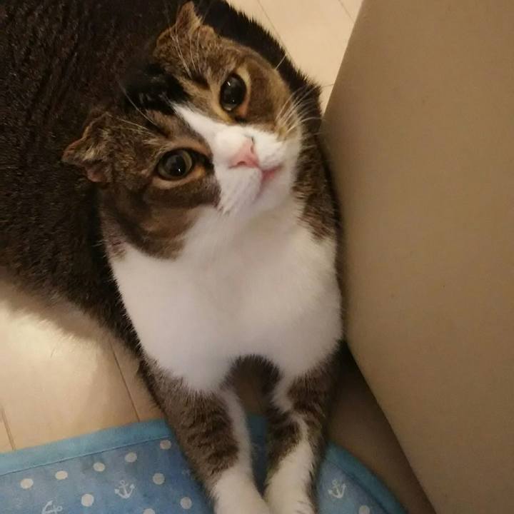 Bbf92871 7540 40a9 9ff3 371256a933d5 1521846524105