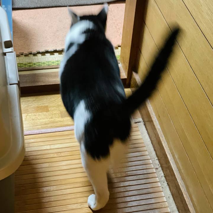 Bbf93ee4 b168 4436 9260 906594597dbd 1621218183137