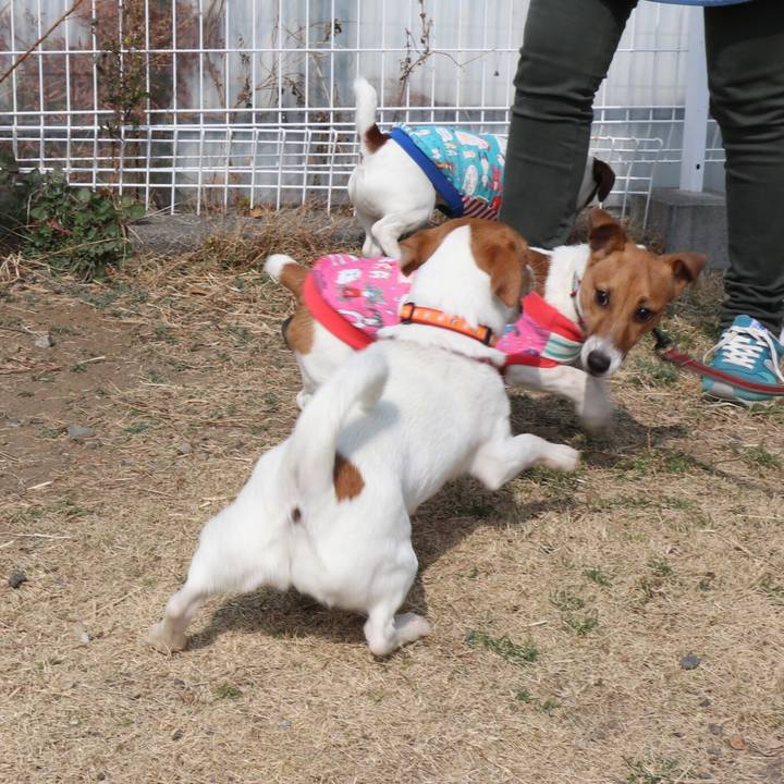 Bbf94f02 2926 449c b337 3a94b5ae698b 1551074732191