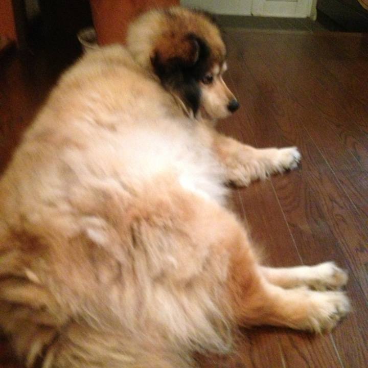 Bbf951ff 2e74 4ee9 b1a8 dd61742ced5f 1605404155493