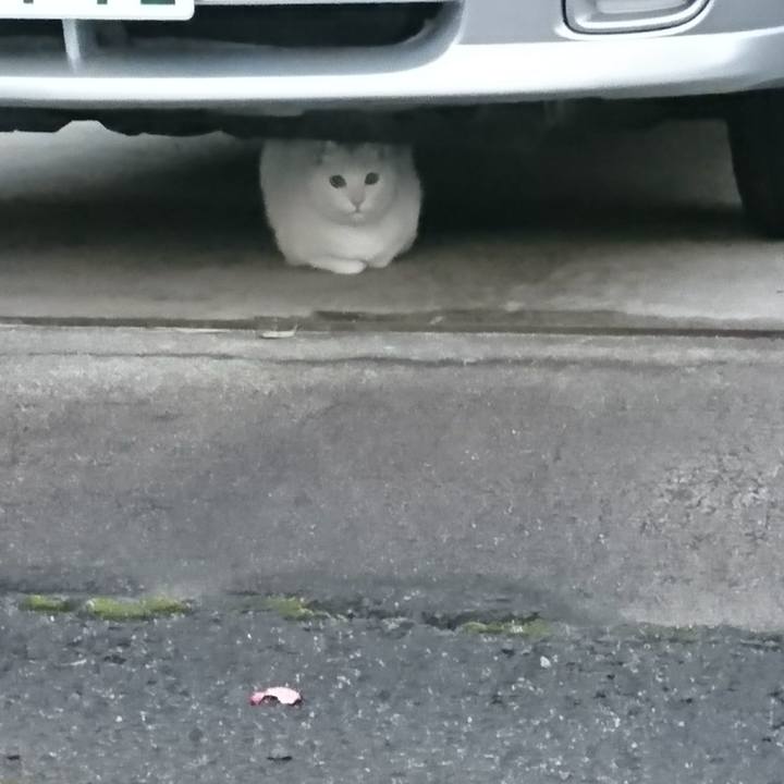 Bbf97043 adef 41ce a01f 9f672313abff 1510435173112