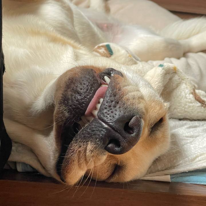 Bbf9bfa2 decd 4ffe 9af3 3f74071a114e 1654489326499