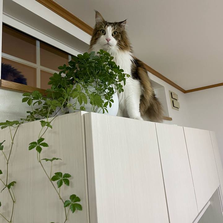 Bbf9dfe2 76e5 4c34 b5c6 b1994920ee8a 1681414656646