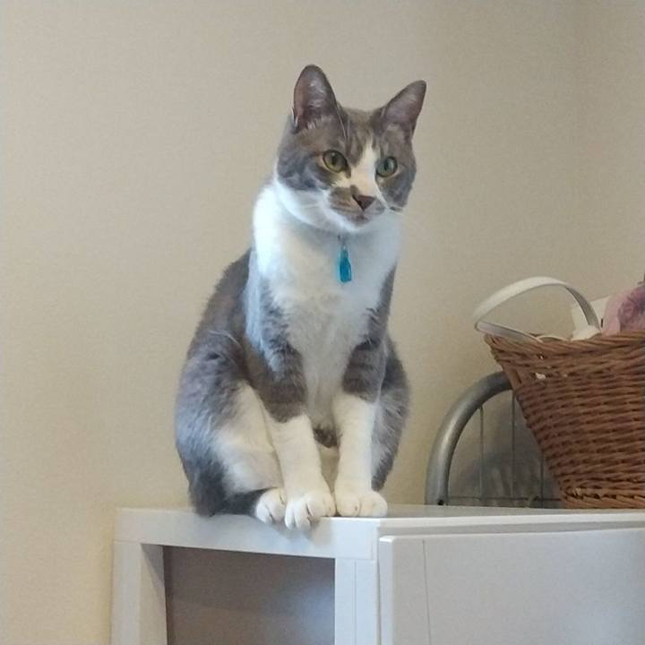 Bbf9eda6 d168 4a1d 98f2 15e316ff1e21 1619679769788