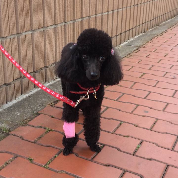 Bbfa1e78 c173 45ab 9519 ac5b041a9f62 1527843764227