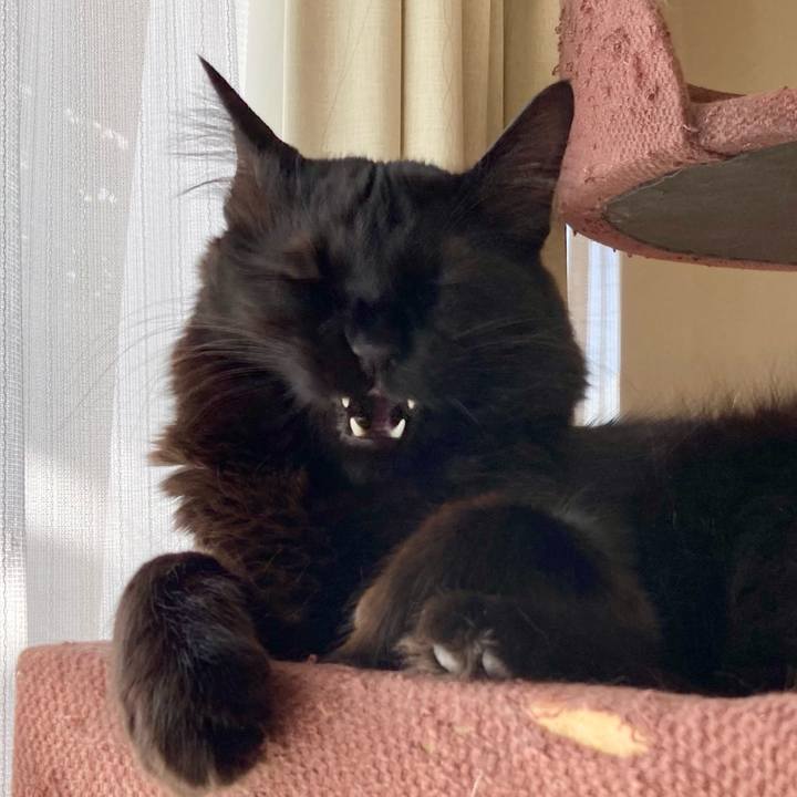 Bbfa9157 7323 4363 8087 8378261b94c5 1738903943373