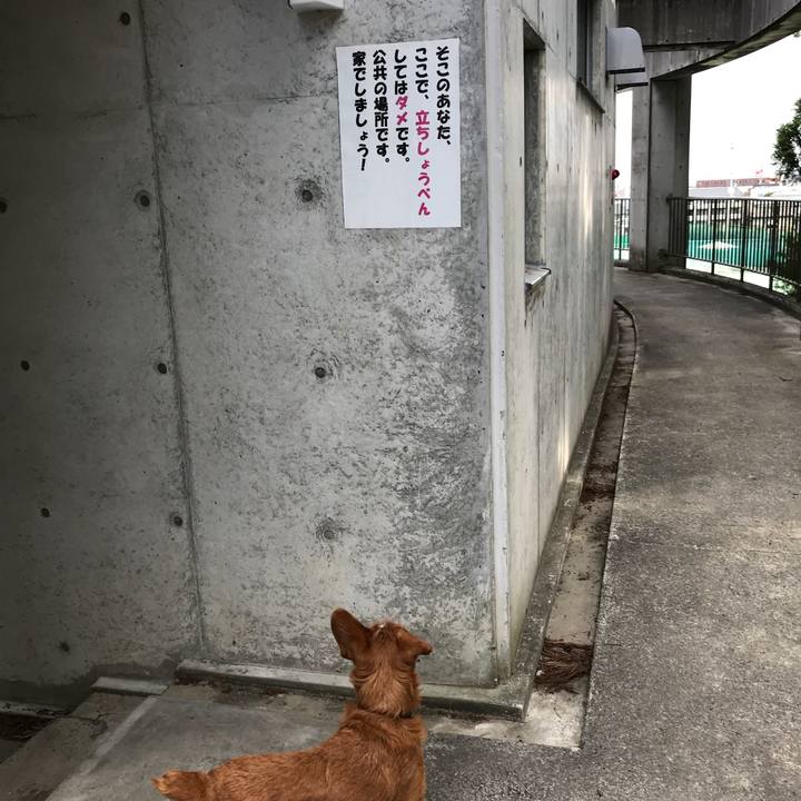 Bbfab12a 7cbf 48e5 8c3f 8bc92dbfb03f 1529994210473