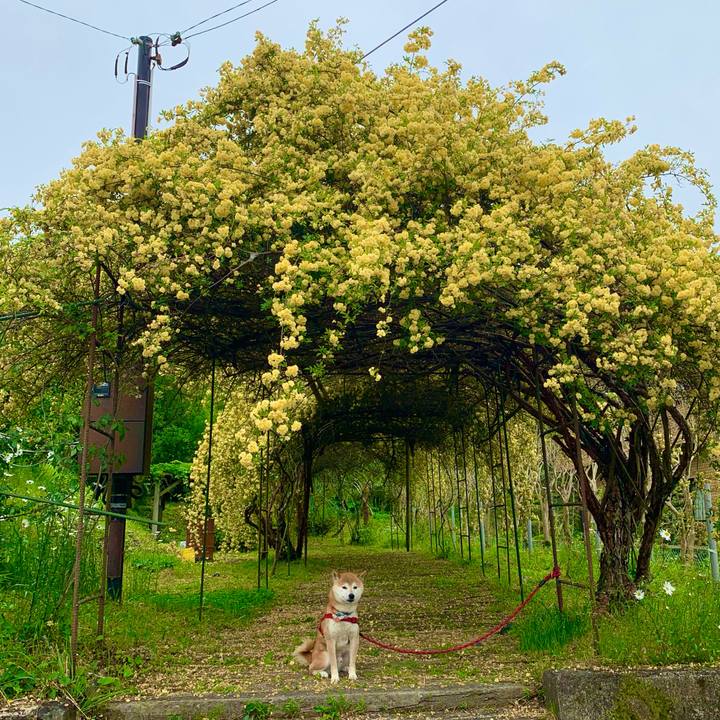 Bbfadfa2 1b76 4c6f b9de 5a23ab4b7344 1621155585116