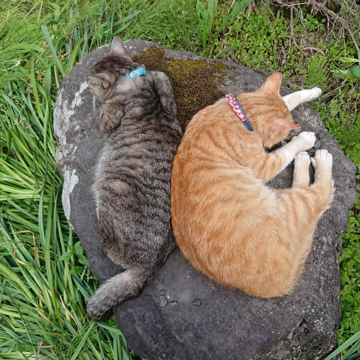 Bbfb2aa8 2025 424c 91c0 60daebdabef7 1559461647831