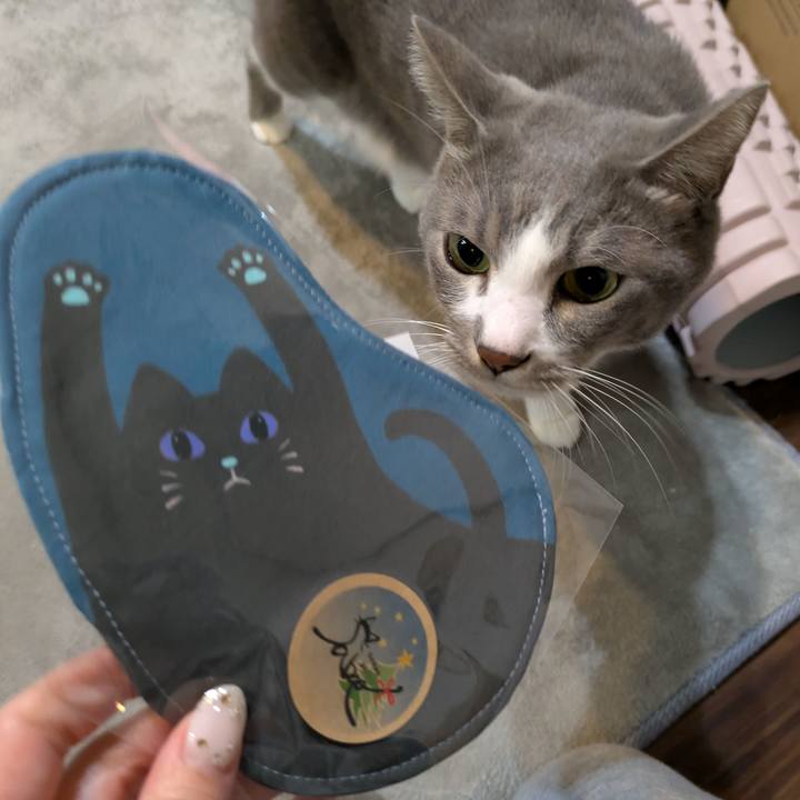 Bbfb673f 0e41 4b02 95e2 8c993f9123e1 1733570905905