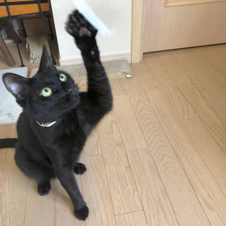 Bbfb713c 692a 4c15 81bf f7df5e5b70ed 1597540860631