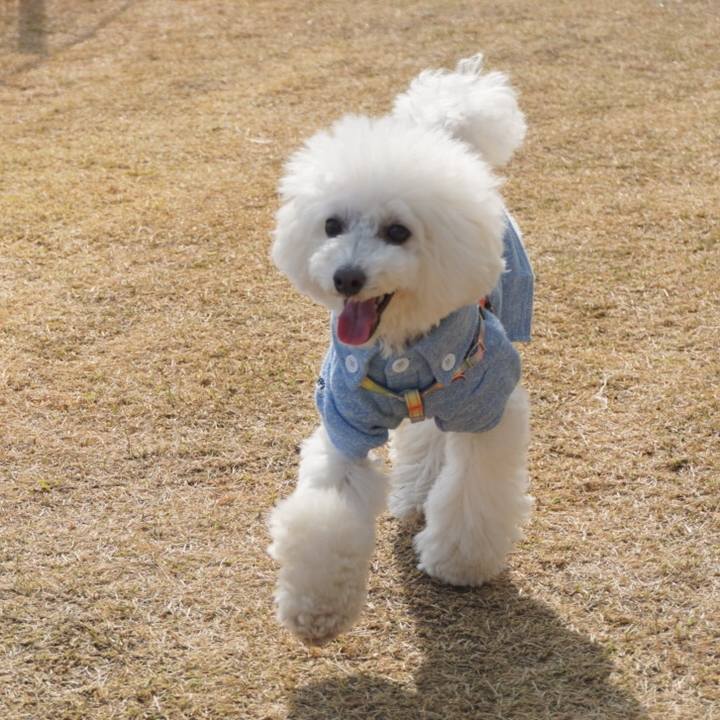 Bbfb7b8e f97b 4fdb bf64 7dff217aad3b 1551772800081