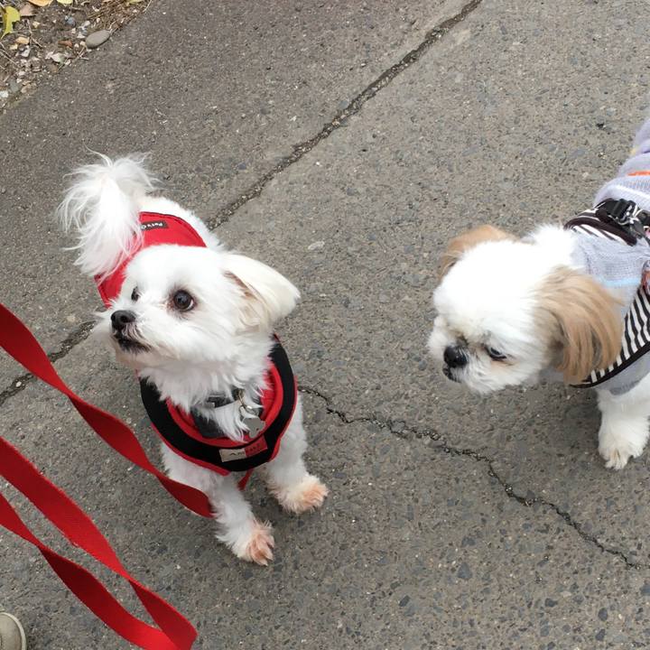 Bbfb803a 0613 454e b23c b203727dabbb 1576912156574