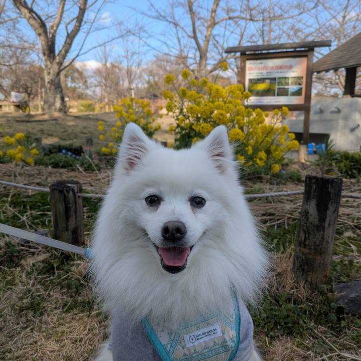 Bbfc5591 efcf 4504 b6f1 8cdf292fdd66 1775738836775