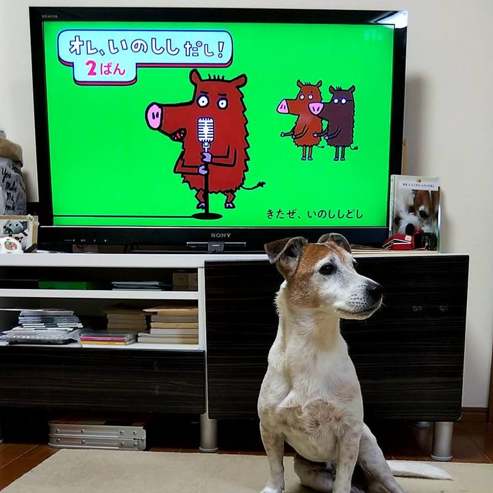 Bbfc5a9e fd2f 43b8 a1d0 86df2b32507f 1557180418661