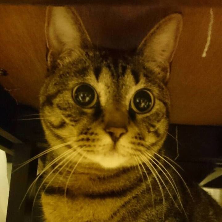 Bbfc67a5 3a6c 405b a295 d00e6c5fd302 1548343478960