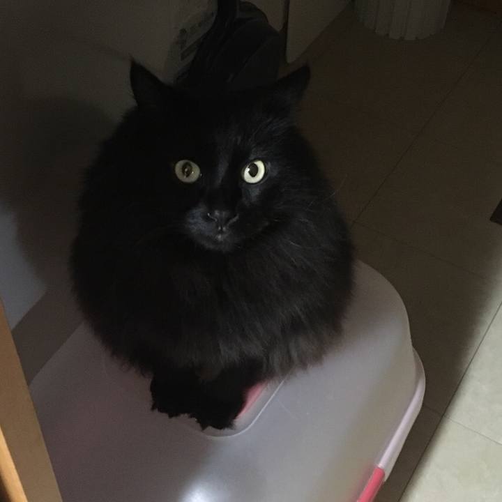 Bbfc75da 0aa1 402f a4f3 1637361bbf68 1547550811520