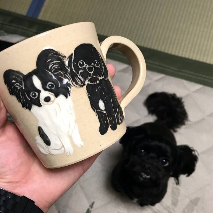 Bbfc88df 9055 4f3c b63c cf052e217140 1536502564068