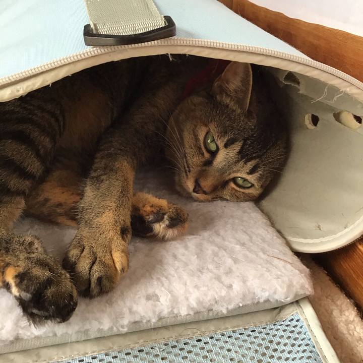 Bbfc9ad5 822b 45fa bb80 4629ca5a0eea 1602561223834