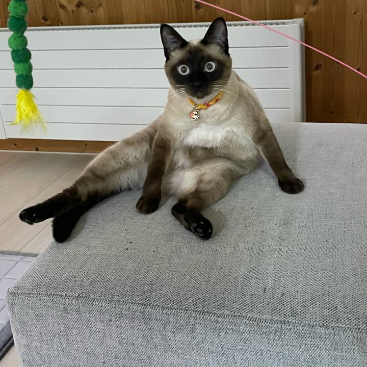 Bbfca14a aac1 4de8 a7e4 97ed34c1e0a9 1720728066267