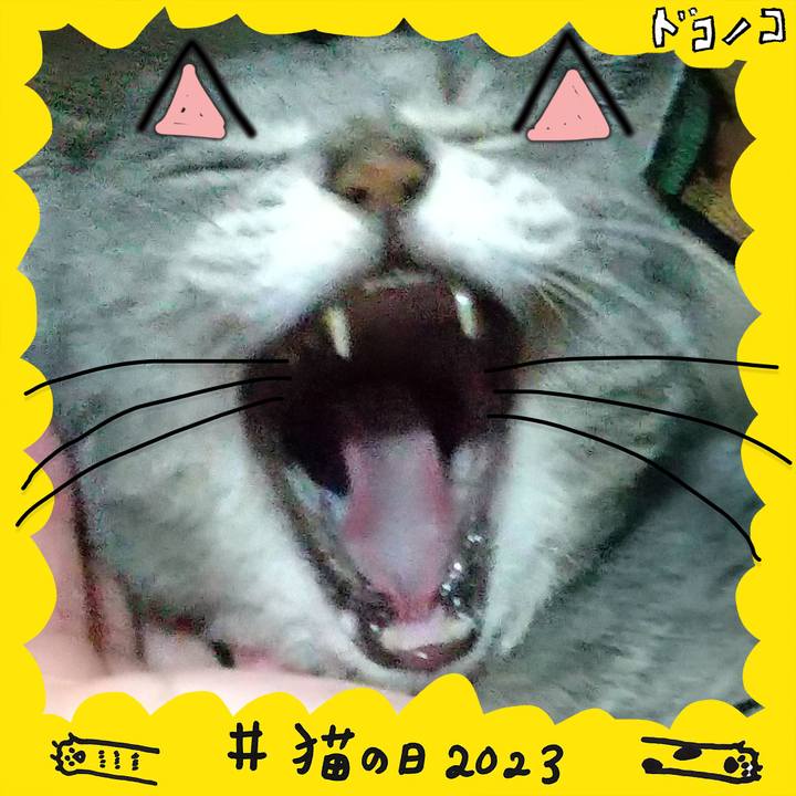 Bbfd2319 dff7 4214 ab01 ea0a542985d1 1677066017941