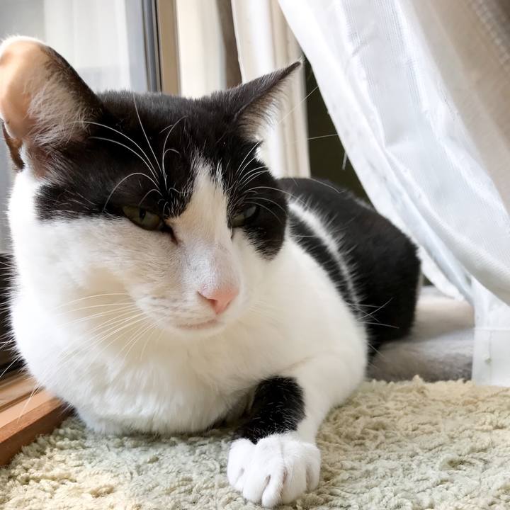 Bbfd25f9 f1a5 4ad6 b074 52bd73e65170 1522977093098