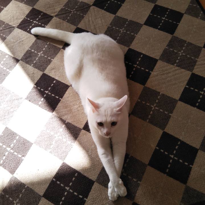 Bbfd353b ce04 41e9 b7c3 0b1c995e49bc 1543454543951