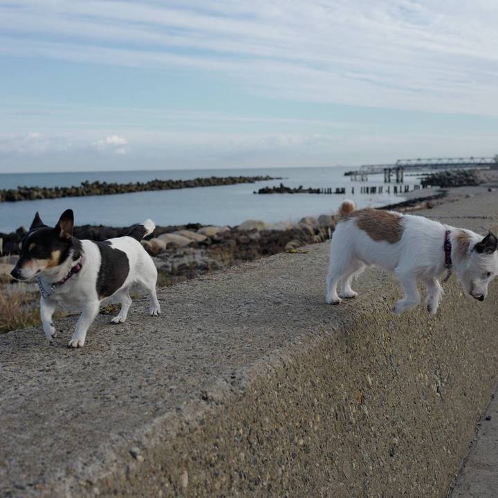 Bbfd6bb8 fe25 4cd5 9938 12e8c5de4ce3 1508212796718