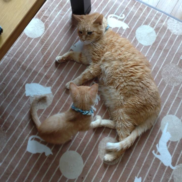 Bbfd8489 bc9a 4762 8345 215517c635a1 1670638806179