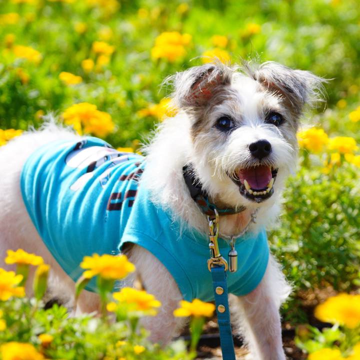 Bbfd9d65 7034 4a75 aa39 412c1c794f90 1683335095546