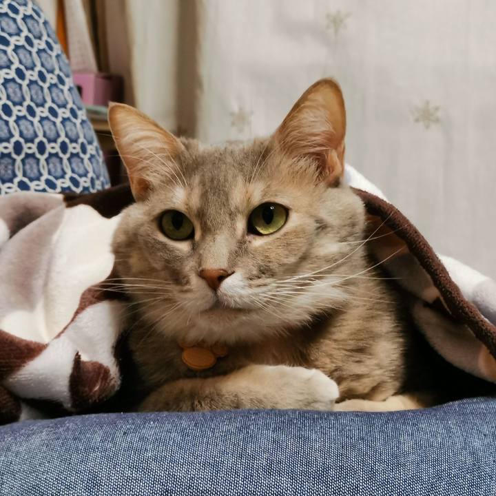 Bbfdb4fb a1b8 407c a426 e30323671b9d 1643637437034