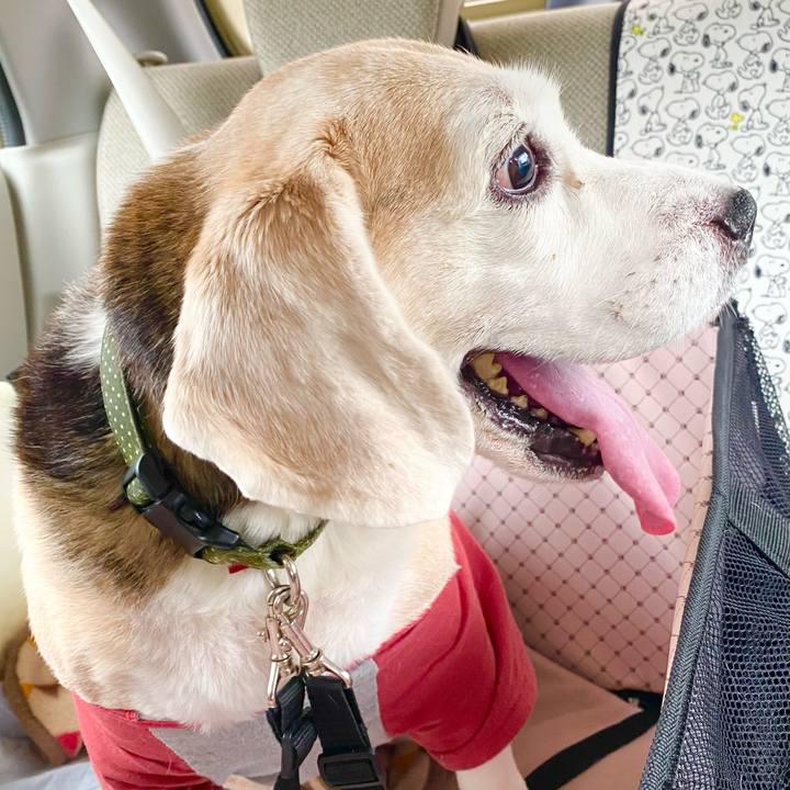 Bbfdd2e8 71c0 45ca acd6 3b0468ce7d63 1667282255670