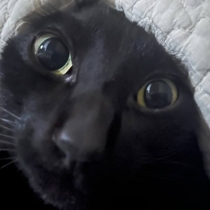 Bbfe0bf9 6226 475b b171 960dd94859fb 1709598577958