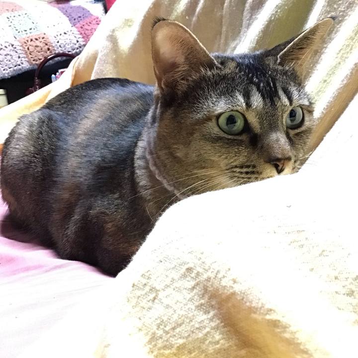 Bbfe1436 7279 47b6 b8cc f9d31ed219f1 1675862929527