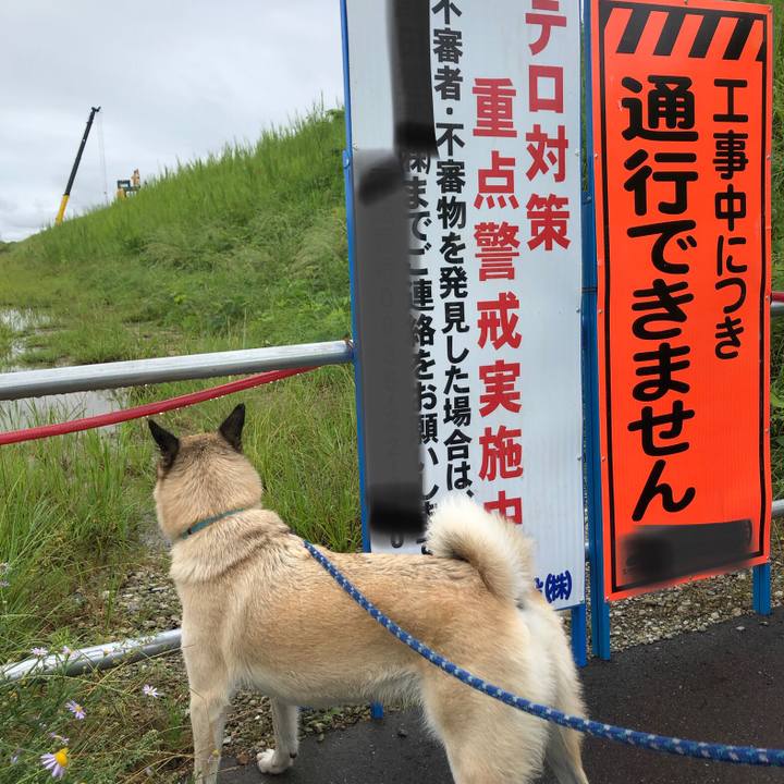 Bbfe40c0 0c45 4653 97a7 f298b6c8e8e7 1631703719634