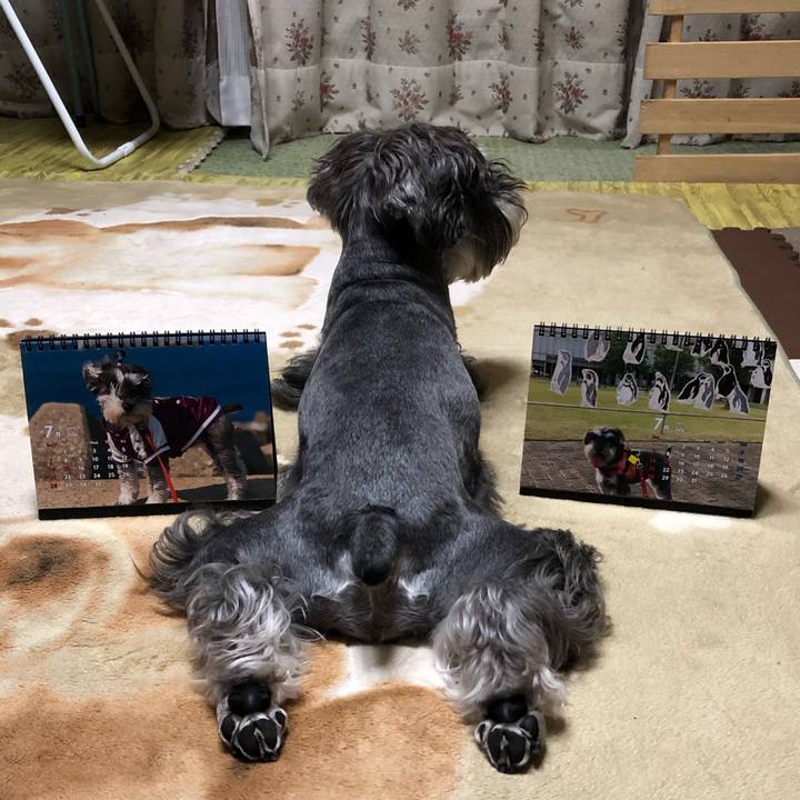 Bbfe4509 2d37 4160 82ac 3d3e7d79d271 1561982291012