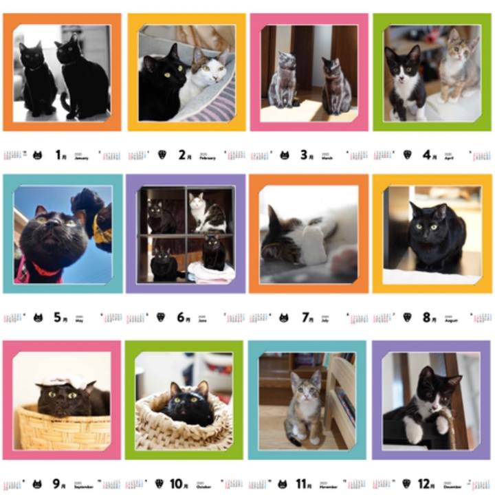 Bbfe48f5 fa08 4607 844b 67d6ba3bea95 1572002957353