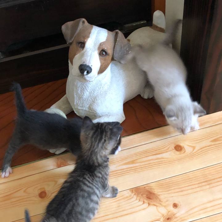 Bbfe54f8 1c7c 4bf7 927d c7ed095d7579 1595681155256