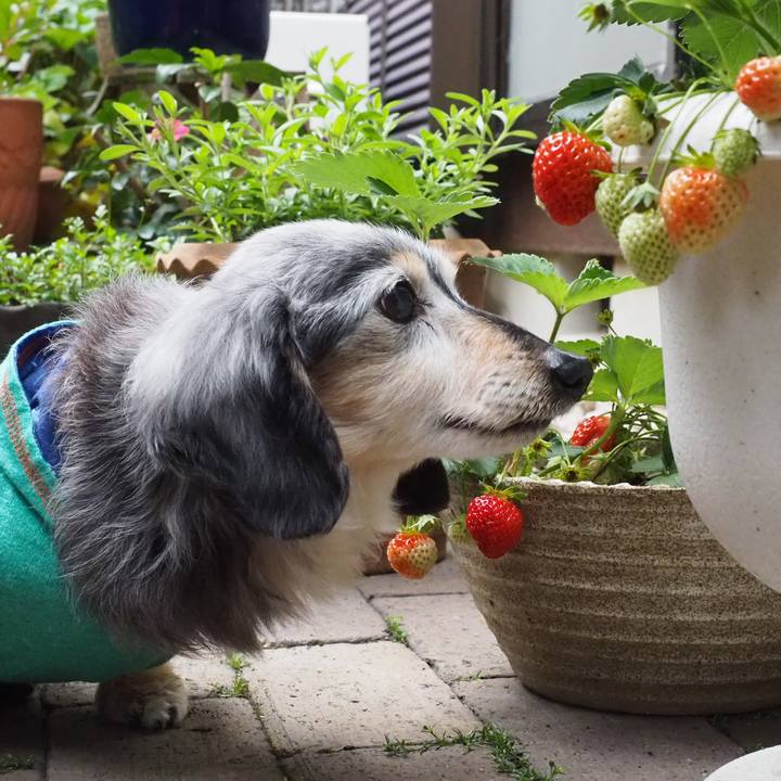 Bbfe86d3 0fc0 4407 b44e 10f6bb64db98 1614950786642