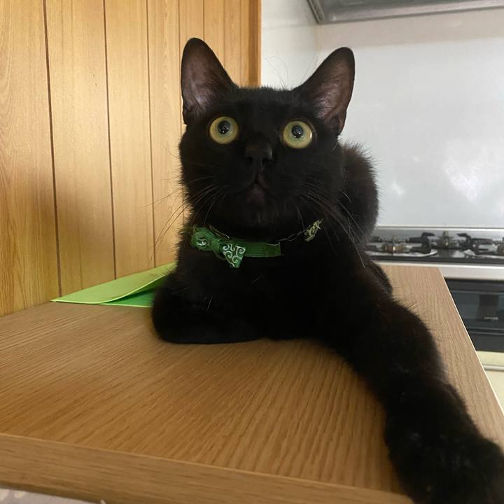 Bbfee2bb 709b 4594 832a 462c5feb7032 1657410078444