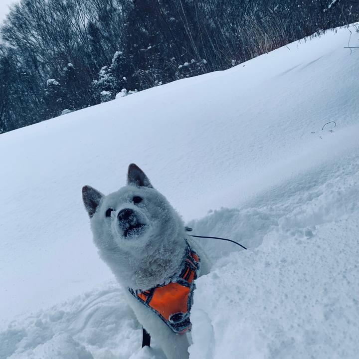 Bbfee5e2 1b96 4f13 a383 8f1e71af1a1d 1639791311252