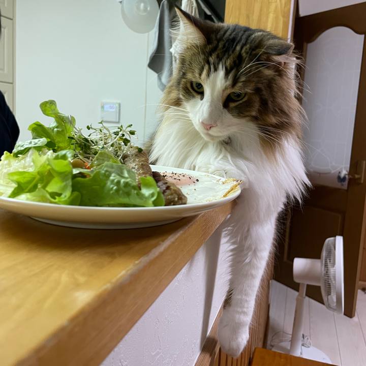 Bbff2e69 b29e 483c 90f2 7a30261f8fc1 1672005354844