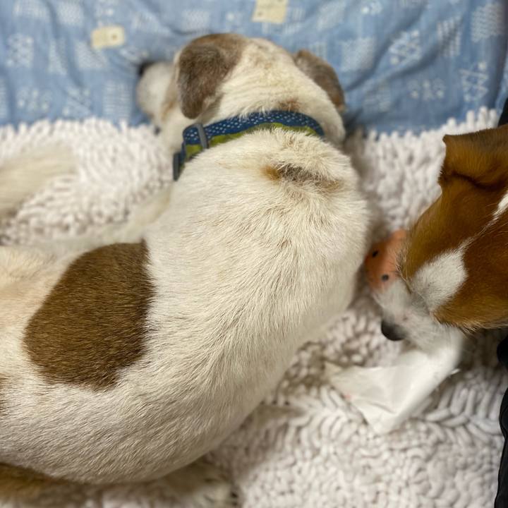 Bbff3ef1 4cac 4692 8a2e b5472b714c88 1719145668007