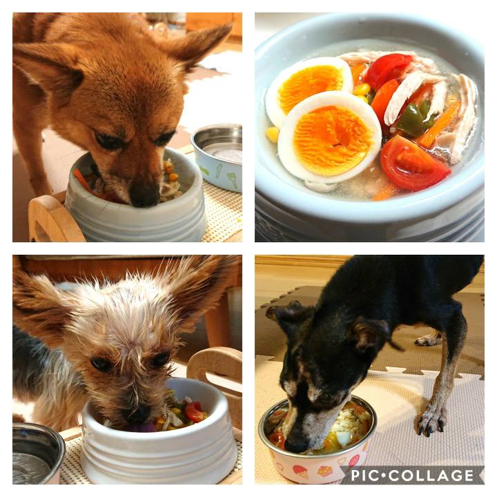 Bbff4586 caf4 4a68 ae67 d6beb56837e3 1567858172201