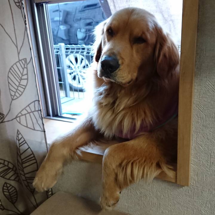 Bbff7125 cf13 4f16 ae9e 2eb6369cfa6a 1516775443785