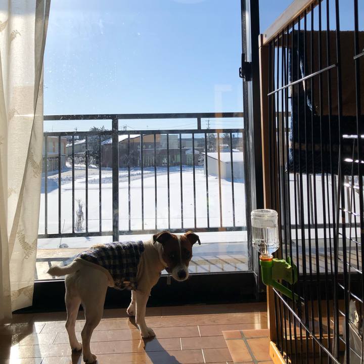 Bbff71d3 7699 4c29 995b 50188379d758 1584400668792