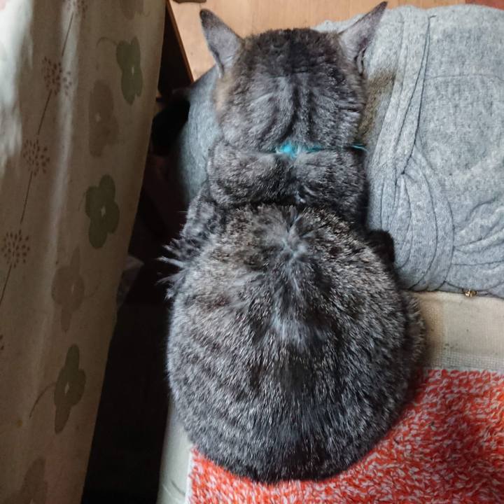 Bbff8bb2 1f12 407c 86bb aeae1cee3808 1607719229567